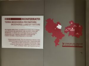 Ruchè di Castagnole Monferrato