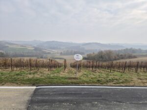 Ruchè di Castagnole Monferrato