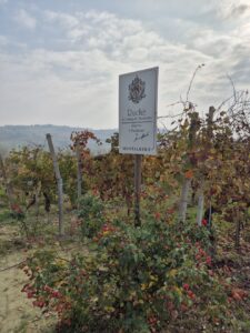Ruchè di Castagnole Monferrato