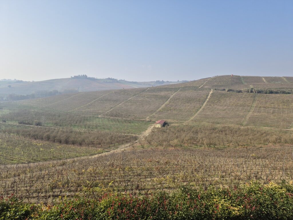 Monferrato