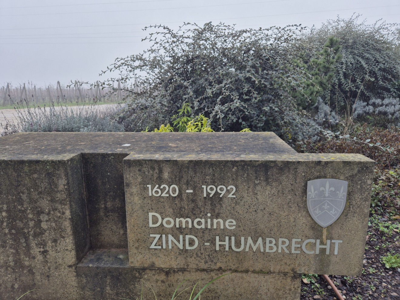 Zind Humbrecht