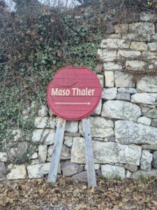 Maso Thaler