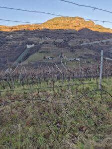 Pitzner