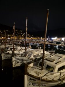 Palma di Maiorca
