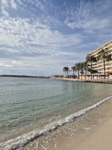 Palma di Maiorca