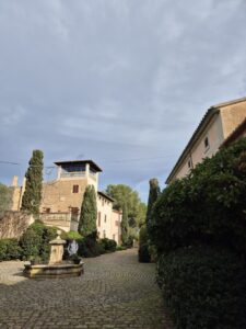 Finca Biniagual