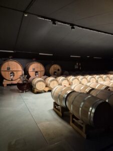 Finca Biniagual