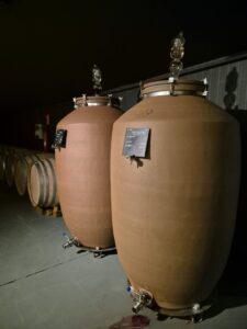 Finca Biniagual