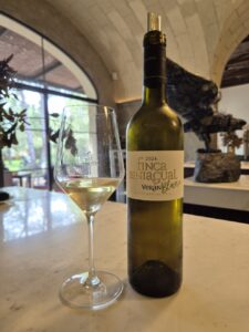 Finca Biniagual