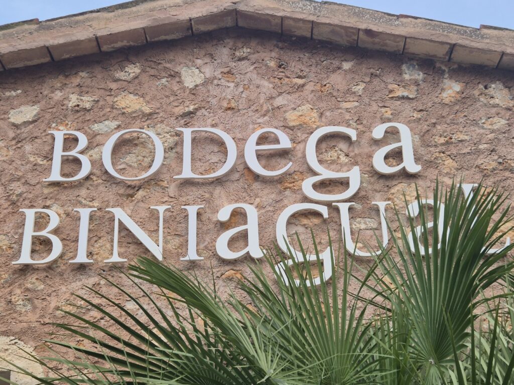Finca Biniagual
