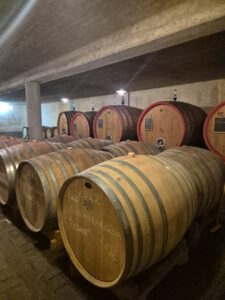 Anzivino
