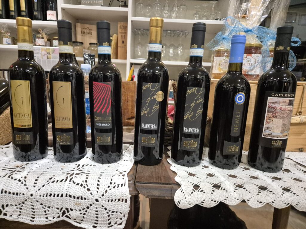 Anzivino