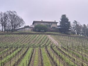 Ronco Calino