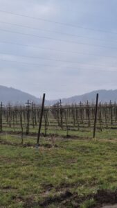 Villa Franciacorta