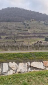 Villa Franciacorta