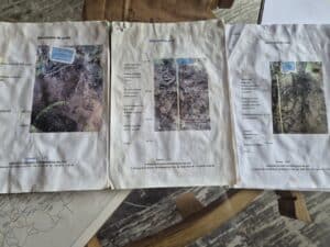 Chartogne Taillet