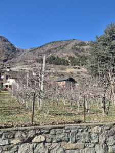 Feudo di San Maurizio