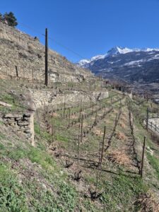 Feudo di San Maurizio
