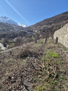 Feudo di San Maurizio