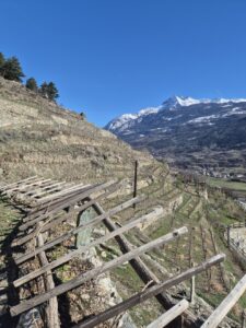 Feudo di San Maurizio