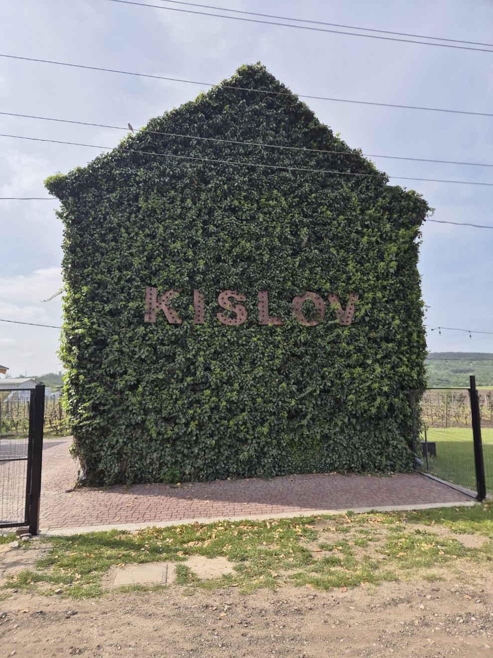 Kislov Winery Kislov Winery