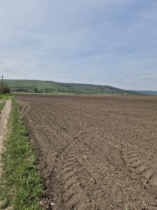 Kislov Winery