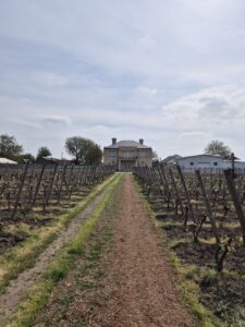 Kislov Winery