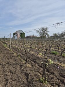 Kislov Winery