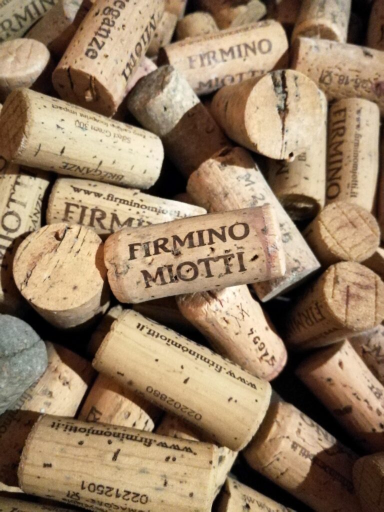 Firmino Miotti
