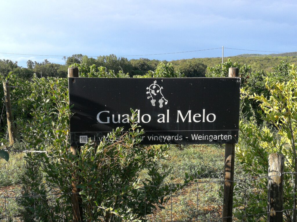 Guado al Melo