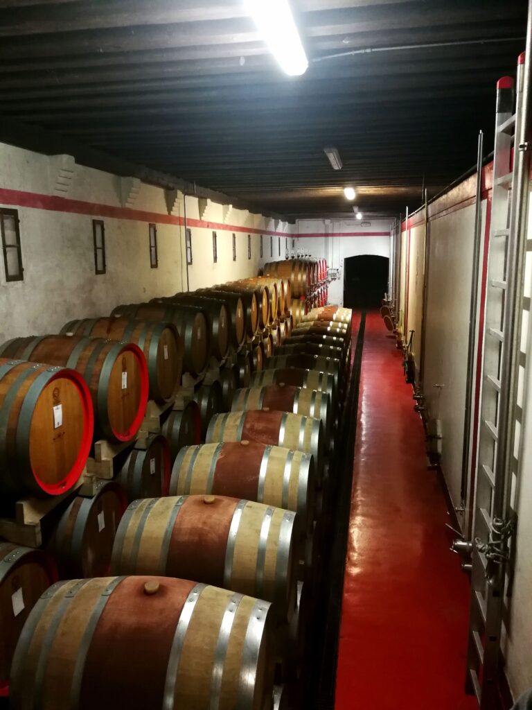 Vini Castello di Roncade