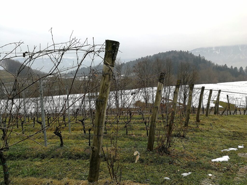 Pian delle Vette