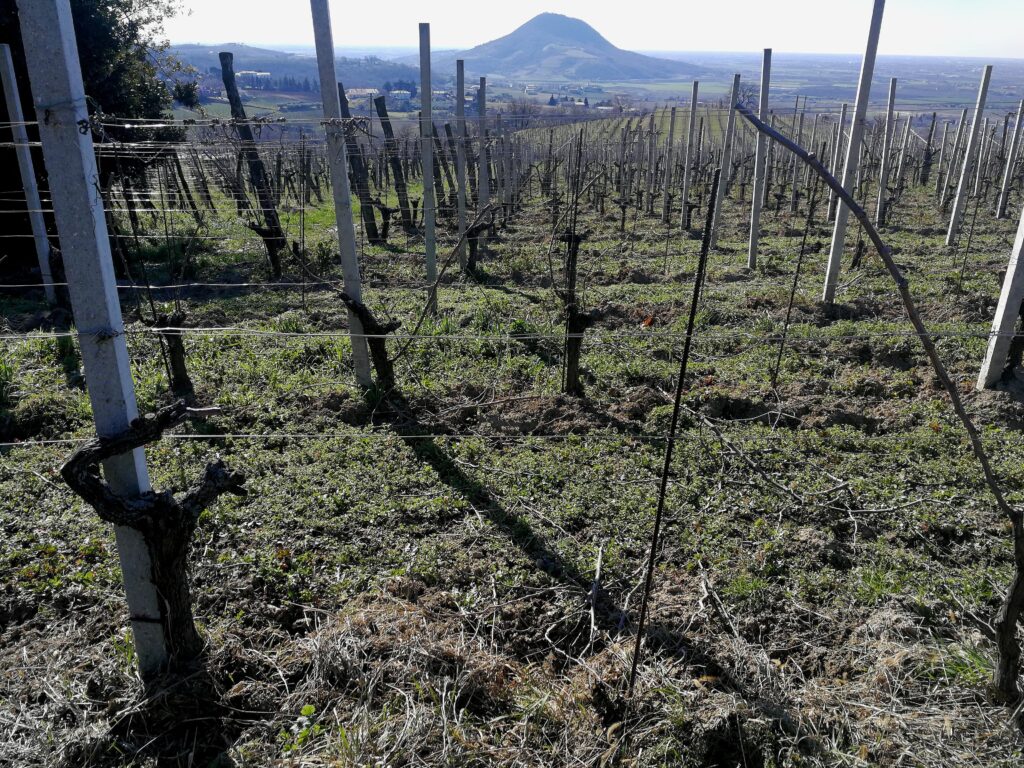 Monteforche