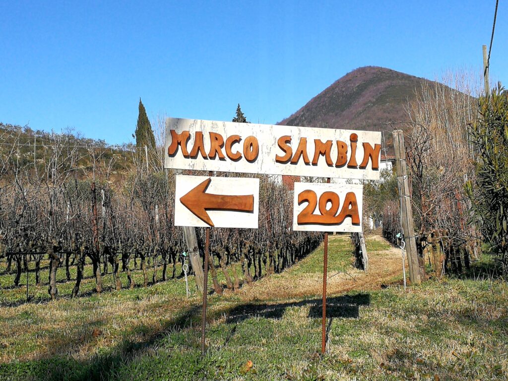 Marco Sambin