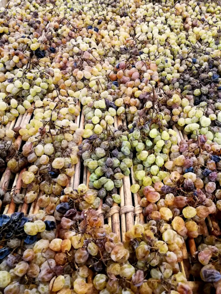 Pietra Dolza