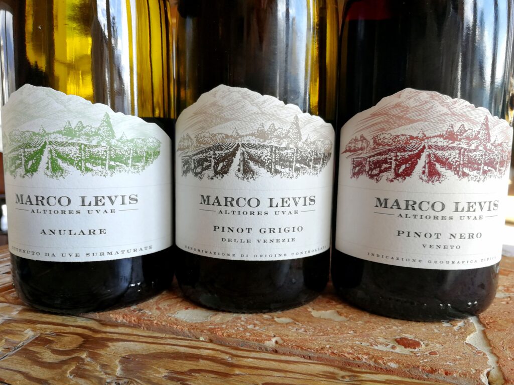 Marco Levis