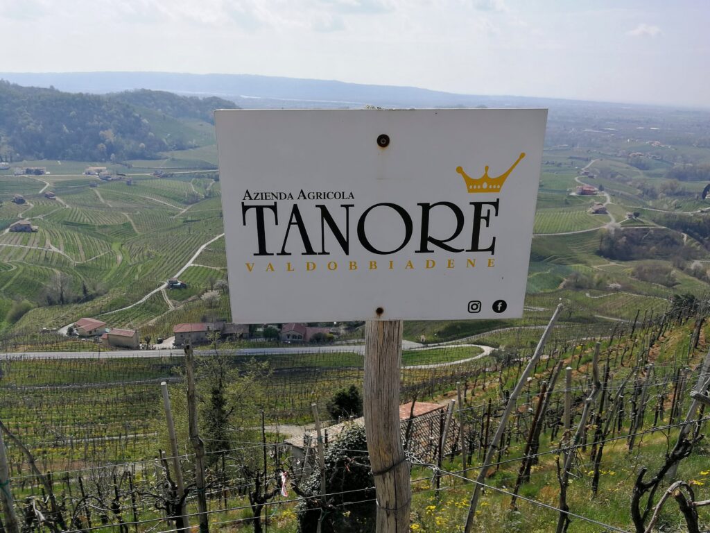 Tanorè