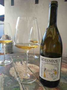 Vigna Lenuzza