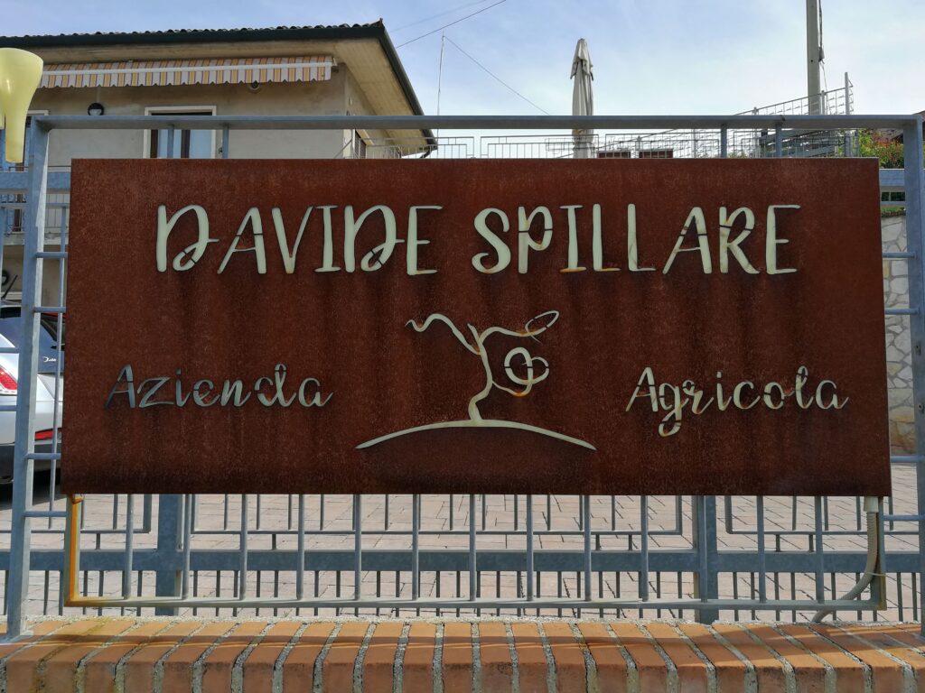 Davide Spillare
