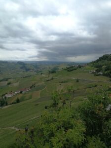 Weekend nelle Langhe