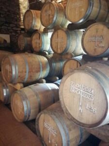 Cantina Vietti
