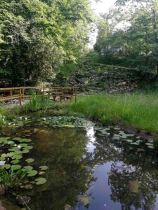 Weekend sul Carso