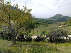 Monte Brecale