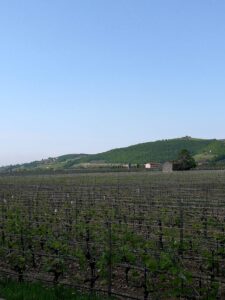 Romano dal Forno