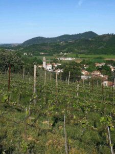 Farnea