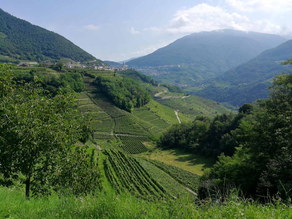 Val di Cembra