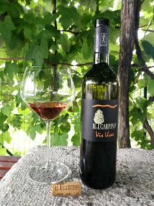 Il Carpino