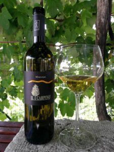Il Carpino