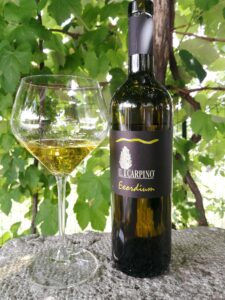 Il Carpino