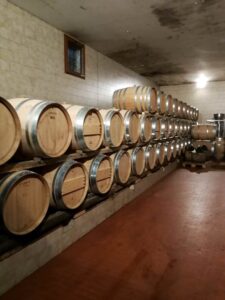 Filò delle Vigne